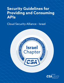 API Security Guidelines